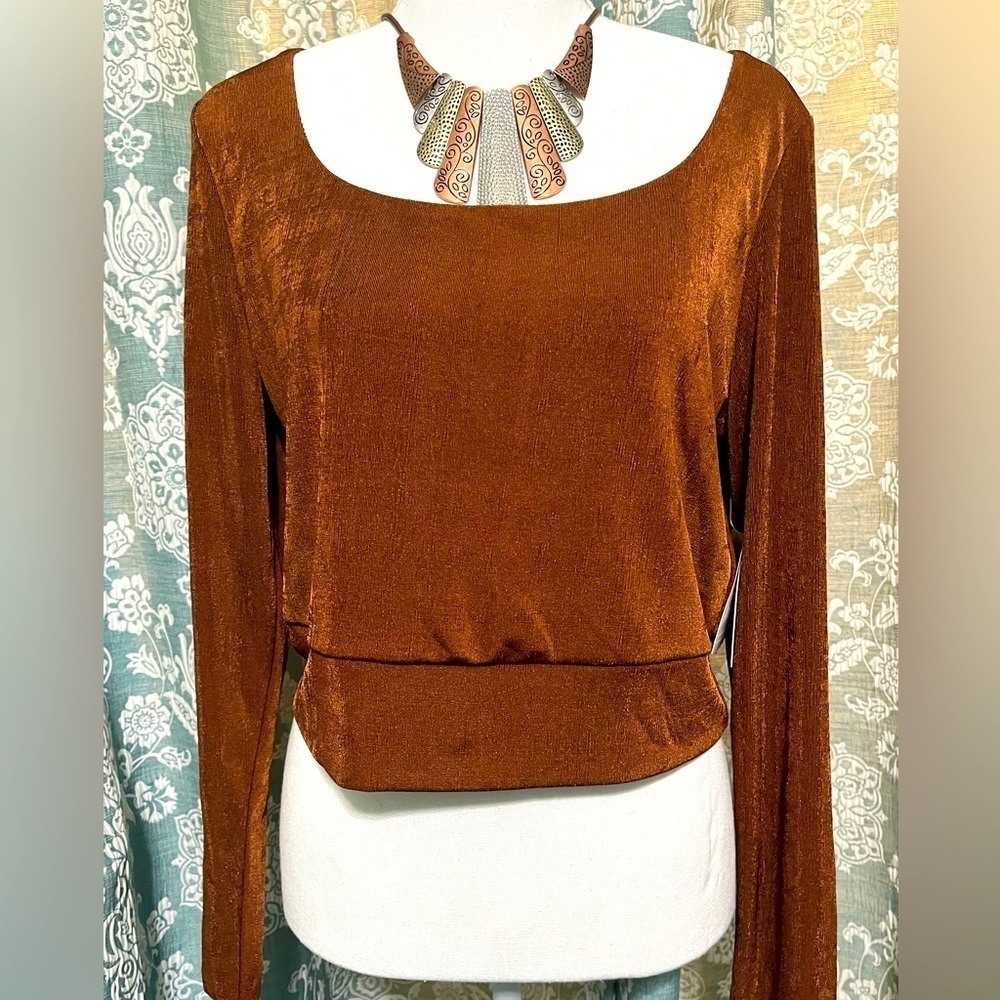 BP Nordstrom brown crop top, very stretchy, long sleeves, size large, new